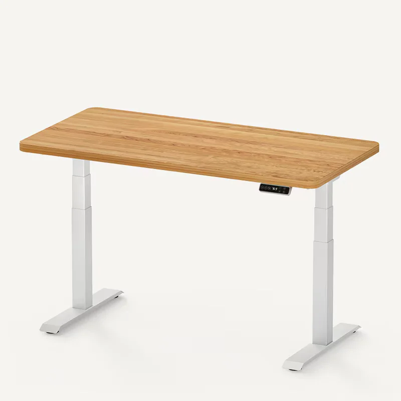 FlexiSpot E7
