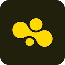 Bee icon