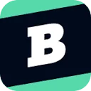 Brainly icon