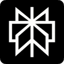 Comet（Perplexity） icon