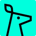 DataDoe icon