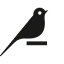 Dataiku icon