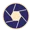 foreshade icon
