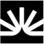 FullStory AI icon