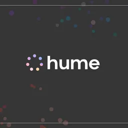 Hume AI icon