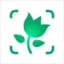 PictureThis（ピクチャーディス） icon