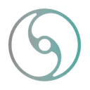STORM Platform icon
